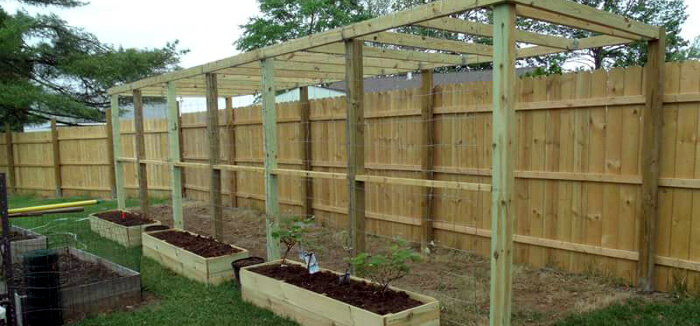 Raised Flower Beds, Trellis and Fencing